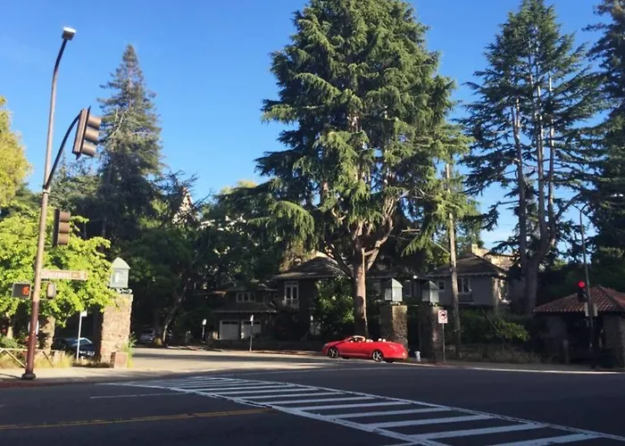 Elegant Spacious Private Studio ~ Upscale Berkeley
